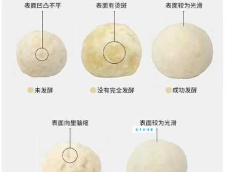馒头是怎么来的?关于馒头起源的多种说法及考证