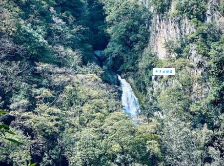 高黎贡山自然保护区:丰富的动植物资源等你发现