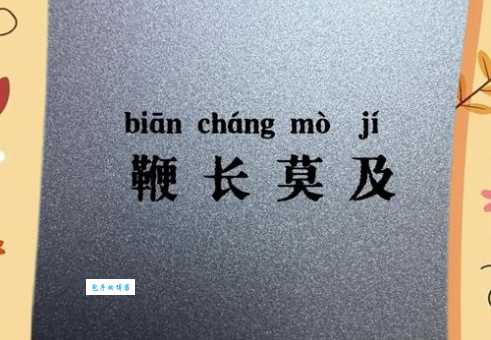 鞭长莫及的正确读音和意思用法全解析