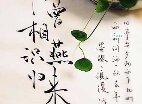 似曾相识燕归来的上一句完整版诗词赏析