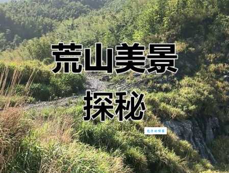 荒山野岭的意思和用法看完你就明白了