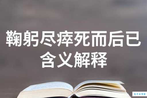 鞠躬尽瘁的意思是什么 这个成语背后的故事你知道吗
