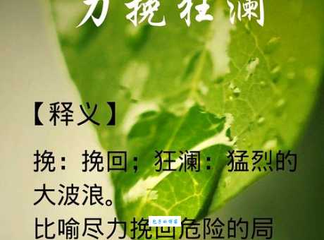 力挽狂澜的意思解析3分钟掌握这个成语
