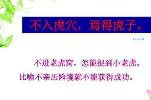 虎父无犬子的意思和例子 看看名人家教故事