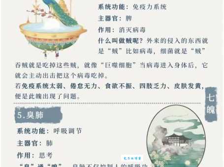 冰魂素魄的读音和用法详解新手也能轻松学会