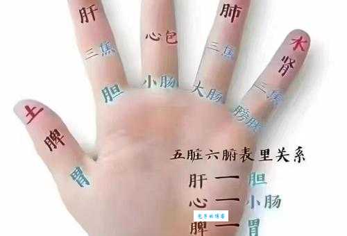 五方杂处怎么用 读音和意思详解 简单易学