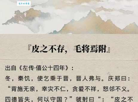 皮不存而毛焉附什么意思 古人这句话到底想说什么