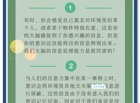 鸡尾酒会的读音和意思是什么 常见用法和释义详解