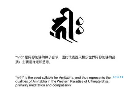 籽组字的应用场景 看看籽组字在哪些地方能用上