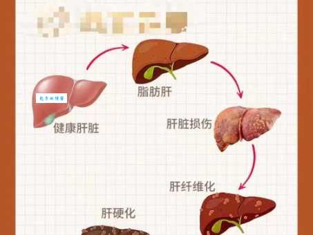披露肝胆的正确读音及意思 用法释义全知道
