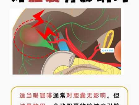 披露肝胆的正确读音及意思 用法释义全知道