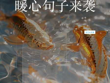 雪中送炭的意思简单说 急人所急就是最好的帮助