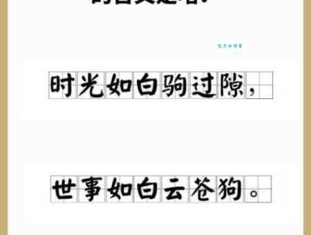立马追驹什么意思看完你就明白了