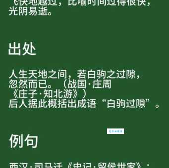 立马追驹什么意思看完你就明白了