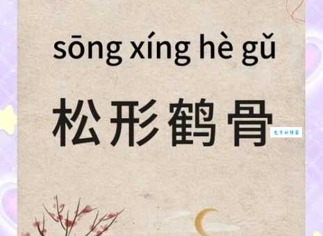 鹤骨鸡肤是什么意思怎么读 成语用法和出处讲解