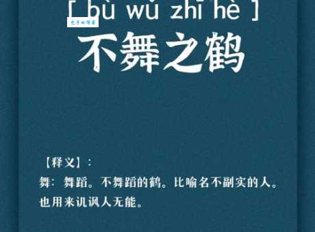 鹤骨鸡肤是什么意思怎么读 成语用法和出处讲解