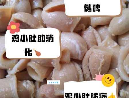 鸡肠狗肚是什么意思形容人小气的俗语解析