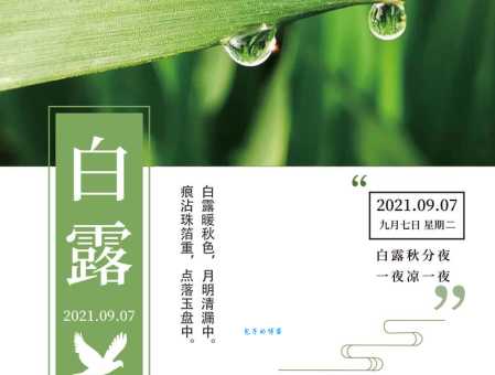 露从今夜白的下一句是什么下一句很多人不知道