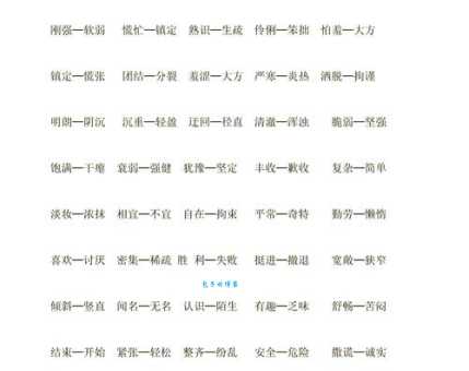 同言无忌反义词大全这些词千万别用错场合