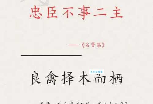 大莫与京的意思及其背后文化内涵