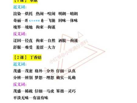 反老还童的近义词有哪些反义词又是什么一文读懂