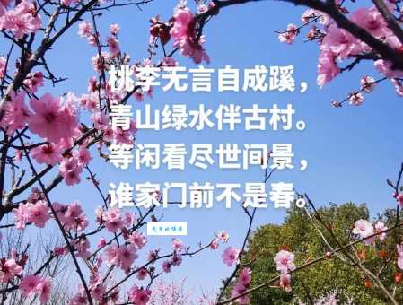 桃李不言下自成蹊的意思在生活中处处可见