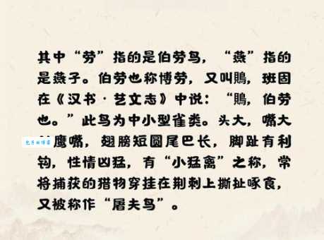 泥猪瓦狗怎么读 成语含义解析及使用场景说明