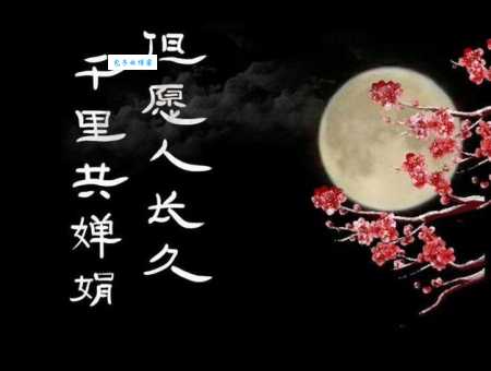 千里共婵娟是指爱情吗 解读苏轼笔下的浪漫情怀