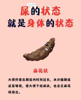屎滚尿流是什么意思一文带你了解这个有趣说法