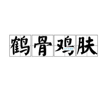 鹤骨鸡肤的意思是什么原来这个成语这么有趣