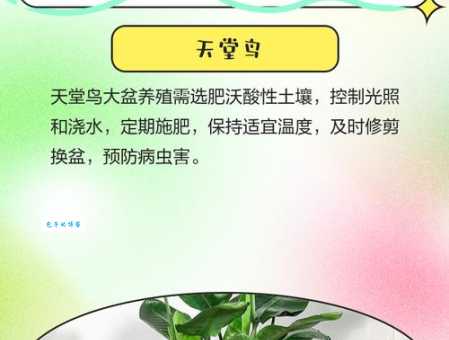 根壮叶茂是什么意思 养花种菜必备的常识解析