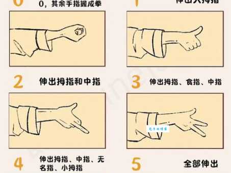 猜拳行令的意思简单介绍原来古人喝酒时这样玩