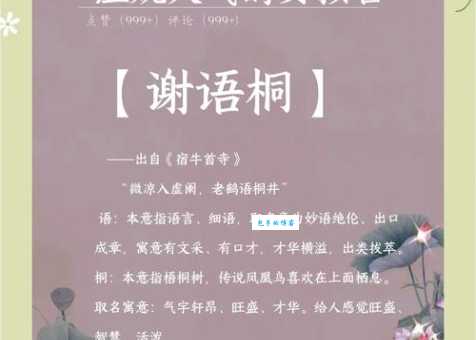 绣口锦心什么意思原来形容人文采飞扬口才好