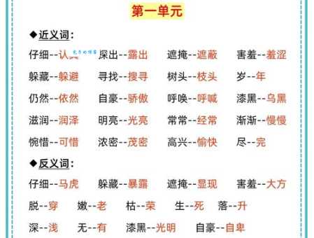 提纲挚领同义词反义词区别在哪里如何运用