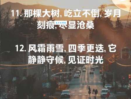 饱经风霜的含义及生活中常用搭配场景