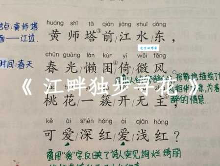 江畔独步寻花的意思简单说 就是诗人赏花散心
