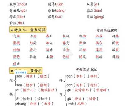 二三君子的读音释义大全 二三君子近义词和用法讲解
