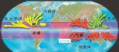 台风和飓风的不同点在于这些关键区别你知道吗