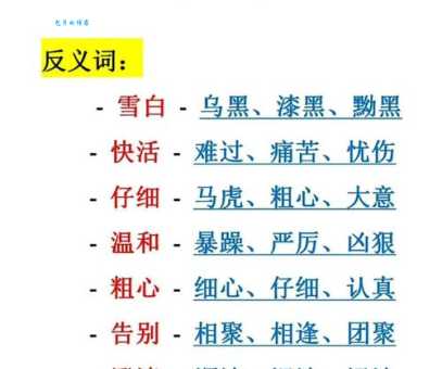 轻浪浮薄同义词反义词有哪些如何正确使用