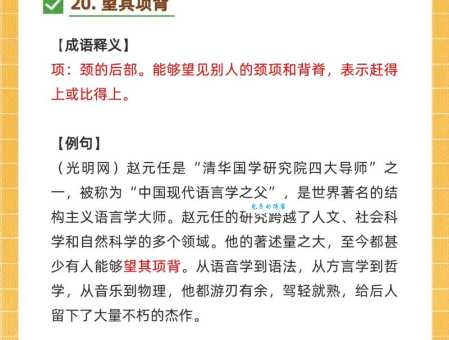 望其项背什么意思 成语背后的故事和实际应用