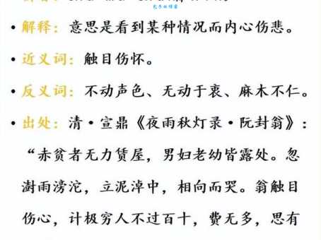 麻木不仁的拼音怎么拼 快速掌握成语读音技巧