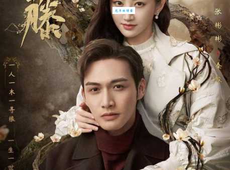 司藤身世解析她的家族隐藏了什么