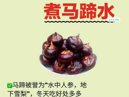 马蹄其实是马的什么部分 马蹄对马的重要性解析