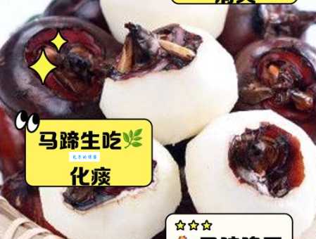 马蹄其实是马的什么部分 马蹄对马的重要性解析