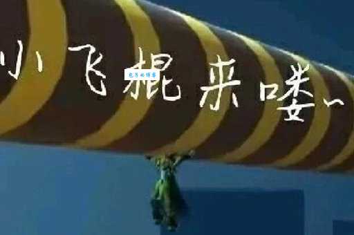 小飞棍来喽是什么梗 看完这个你就知道为啥这么火了