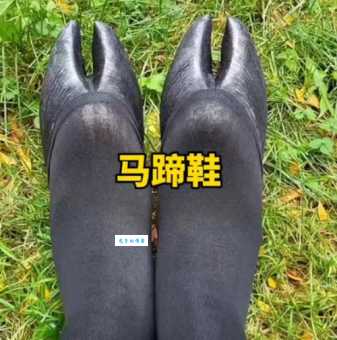 马蹄是马的指甲还是脚丫子 原来很多人都搞错了