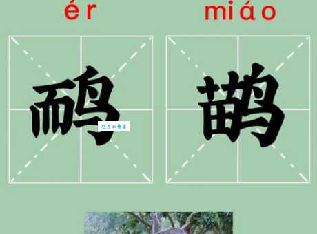 炘炀读音及解释 这个词语的来历和正确发音