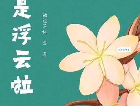 为什么说什么都是浮云看完你就明白了