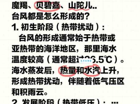 台风怎么形成的 台风形成的条件和原因
