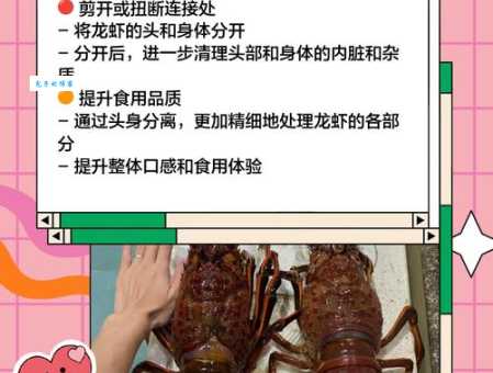 大龙虾怎么吃才不浪费 这些部位千万别错过